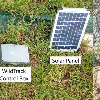 WildTrack: An IoT System for Tracking Passive